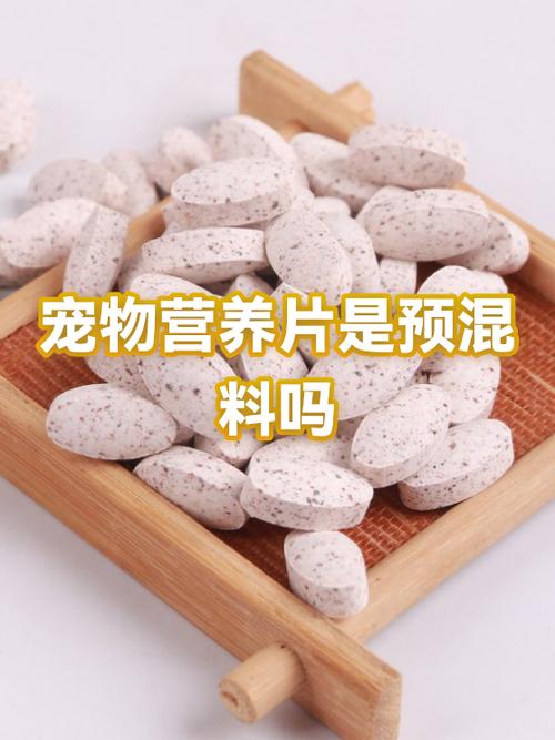 b2bmarkdown:## 一,什么是预混合饲料\n\n预混合饲料就像宠物的"营养